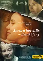 plakat filmu Zorza polarna