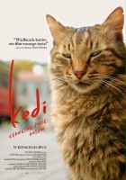 plakat filmu Kedi - sekretne życie kotów