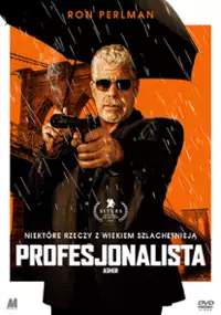 Plakat filmu Profesjonalista