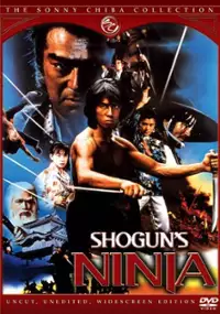 Plakat filmu Wojownicy ninja - tajemnica dwóch mieczy