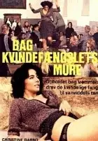 plakat filmu Więzienie kobiet