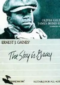Plakat filmu The Sky Is Gray