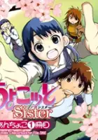 Norihiko Nagahama / Chocotto Sister