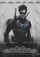 Nailya Shakirova / Nightwing: The Series