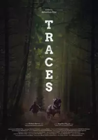 Plakat filmu Ślady
