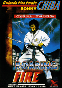Plakat filmu Huczący ogień
