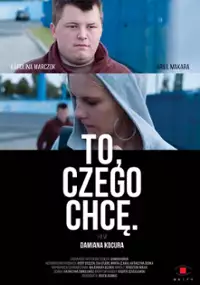 Plakat filmu To, czego chcę