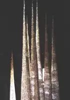 Glenn McMillan / Into the Woods