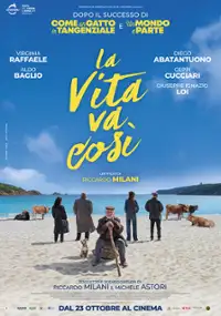Plakat filmu La vita va così