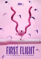 plakat filmu Flugversuche