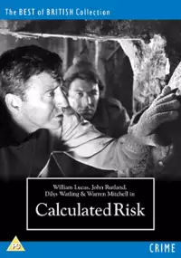 Plakat filmu Calculated Risk