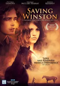 Plakat filmu Saving Winston