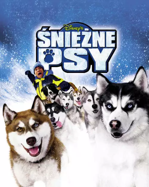 plakat filmu Śnieżne psy
