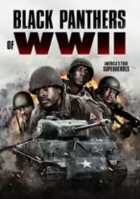 Plakat filmu Black Panthers of WWII