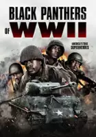 plakat filmu Black Panthers of WWII