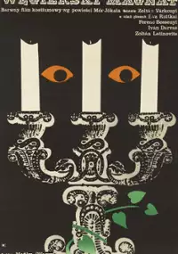 Plakat filmu Węgierski magnat
