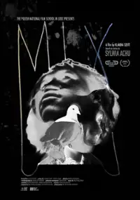 Plakat filmu Mix