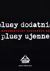 Plakat filmu Plusy dodatnie, plusy ujemne