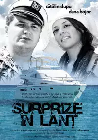 Plakat filmu Surprize &icirc;n lanţ