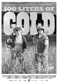 Plakat filmu 100 litraa sahtia