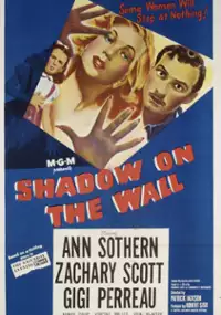 Plakat filmu Shadow on the Wall