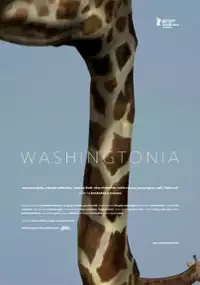 Plakat filmu Washingtonia