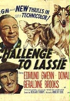 plakat filmu Wyzwanie dla Lassie