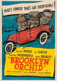 Plakat filmu Brooklyn Orchid