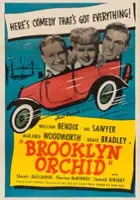 plakat filmu Brooklyn Orchid