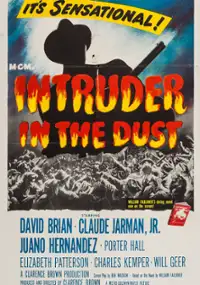 Plakat filmu Intruz