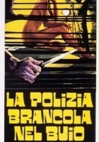 plakat filmu La Polizia brancola nel buio