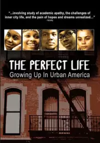 Plakat filmu The Perfect Life