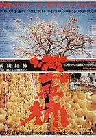 Chun Shih / Hong shih zi