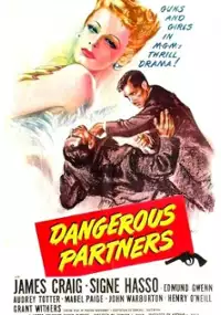 Plakat filmu Dangerous Partners