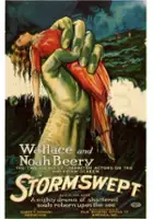 plakat filmu Stormswept
