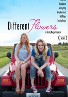 plakat filmu Different Flowers