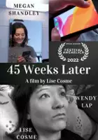Megan Shandley / 45 Weeks Later