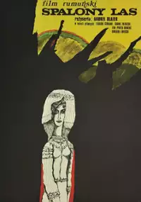 Plakat filmu Spalony las