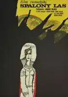 plakat filmu Spalony las
