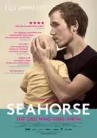 plakat filmu Seahorse