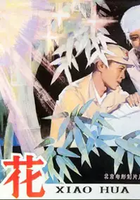 Plakat filmu Xiao hua
