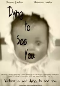 Plakat filmu Dying to See You