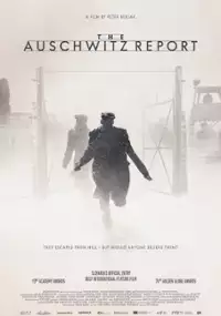 Plakat filmu Raport z Auschwitz