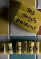 plakat filmu Regarder Oana