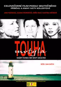 Plakat filmu Touha motýla