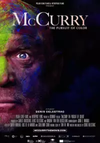 Plakat filmu McCurry. W pogoni za kolorem