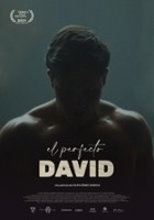 plakat filmu Doskonały Dawid