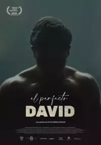 Plakat filmu Doskonały Dawid