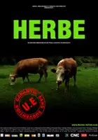 Matthieu Levain / Herbe