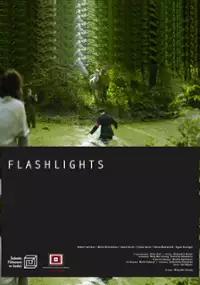 Plakat filmu Flashlights